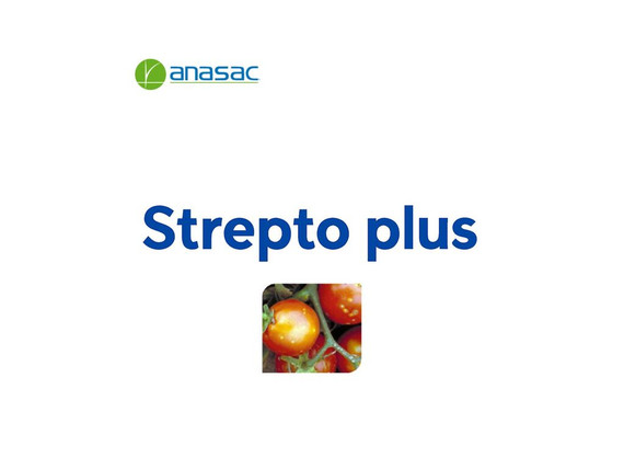 Bactericida Anasac Strepto Plus WP x 1 kg