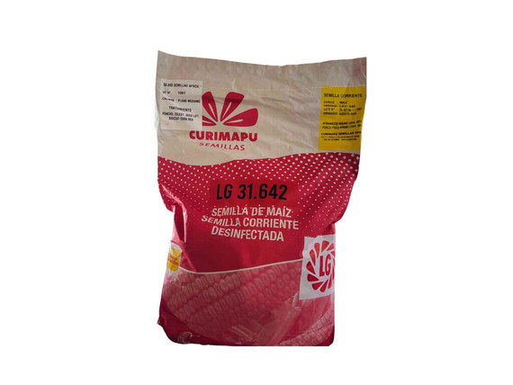 Semillas Maíz Curimapu LG 31.642 x 50.000 semillas