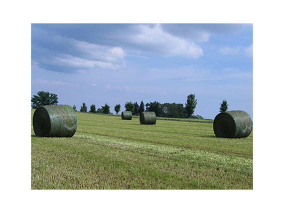 Malla para enfardar Netwtrap Spider net  1250 mm x 3000 m