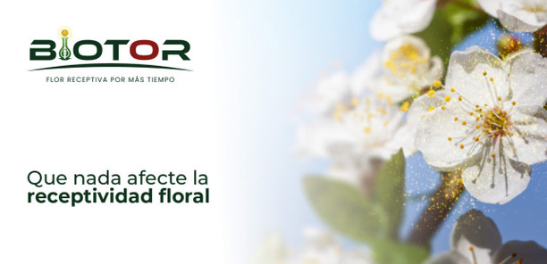 BioTOR®: Activador Metabólico y Bioestimulante para el Cerezo