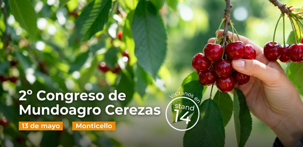 Copeval estará presente en el Segundo Congreso Mundoagro Especial Cerezas 2026