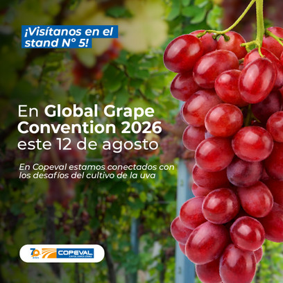 Copeval será parte del Global Grape Convention 2026, el principal encuentro internacional de la industria de la uva de mesa
