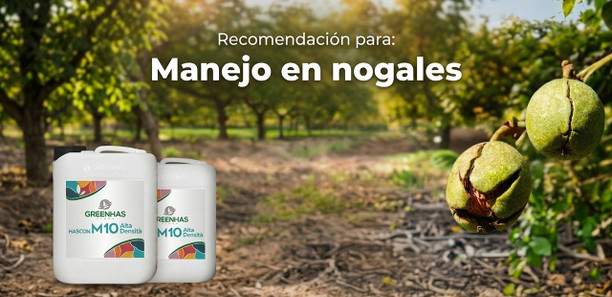 Manejo de la maduración en nogales