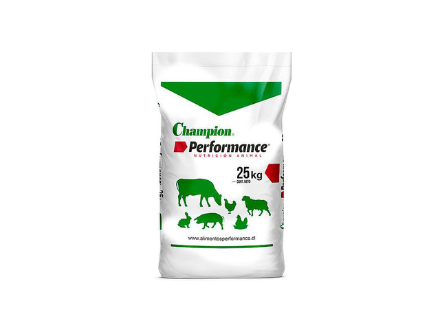 Alimento molido Champion-Performance Ponedora Final - 25 kg
