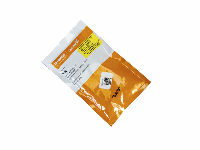 Semillas NUNHEMS Sandía híbrida Catira 1000 semillas