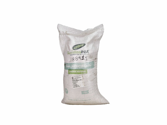 Semillas SEMILLAS INIA Trigo Rocky-INIA 25 kg