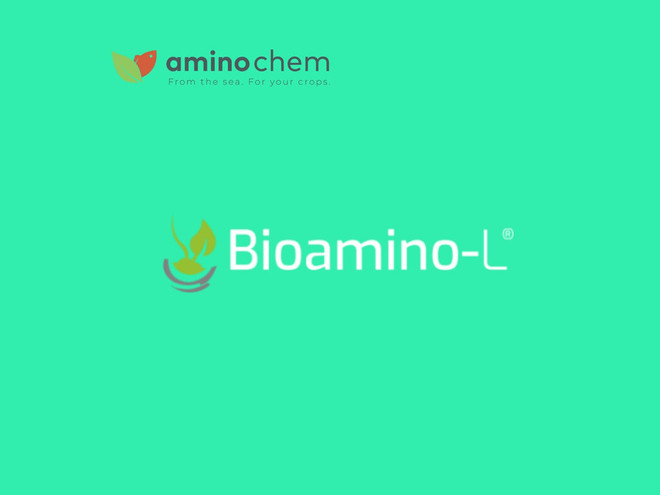 Aminochem Bioaminol-L  1000 l