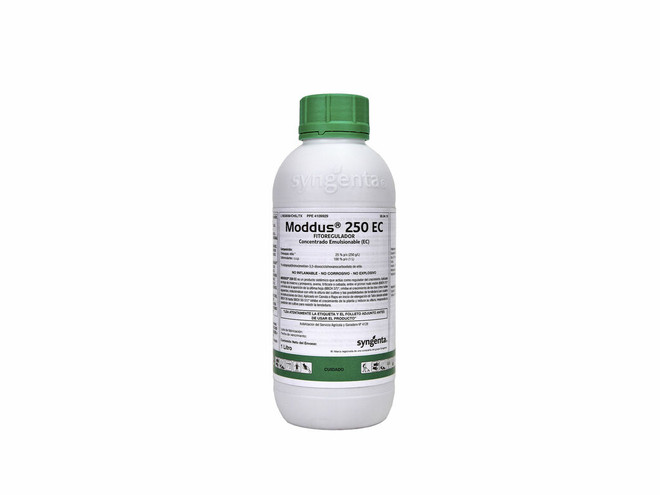 Fitorregulador Syngenta Moddus 250 EC 1 l