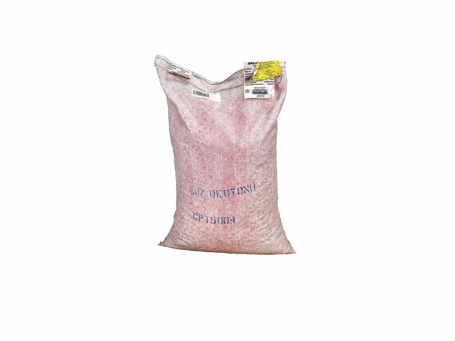 Semilla de Haba blanca SEMILLAS AGRICAL Luz de otoño - Saco 25 kg