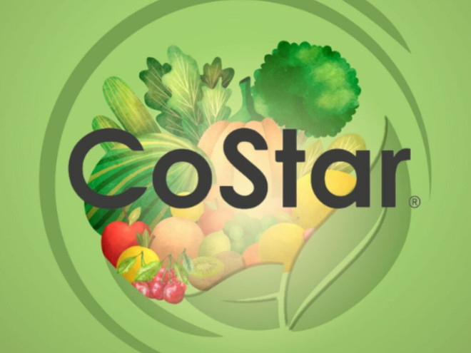 Insecticida Anasac Costar WG 1 kg