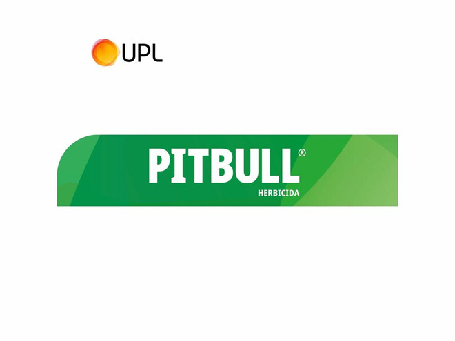 Herbicida UPL Pitbull 1 l
