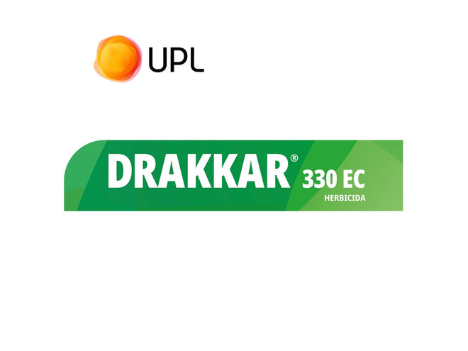 Herbicida UPL Drakkar de 20 litros para control selectivo de malezas