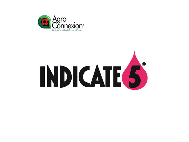 Coadyudante Agroconnexion Indicate 5 1 l