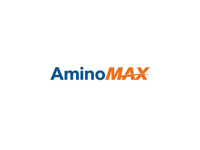 Bioestimulante Anasac Aminomax 20 l