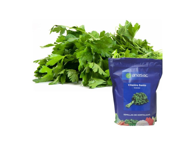 Semillas Anasac de Cilantro Santo x 1 Kg