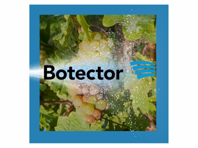 Biofungicida Anasac Botector WG x 1 Kg