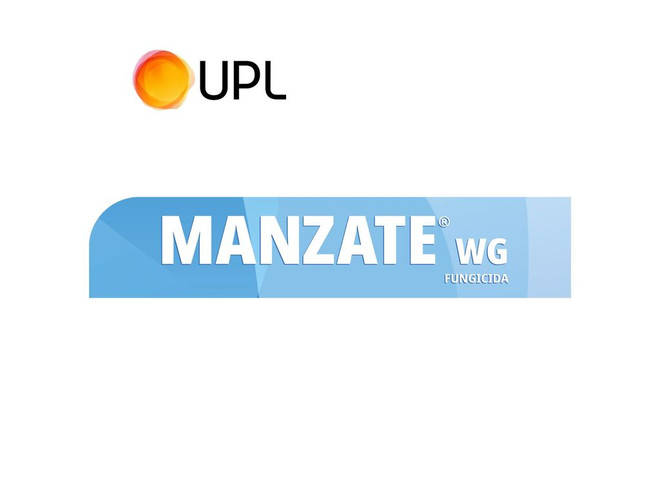 Fungicida UPL Manzate WG x 25 Kg
