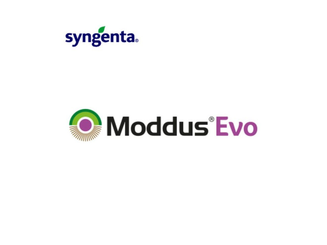 Fitorregulador Syngenta Moddus Evo DC x 1 Lt
