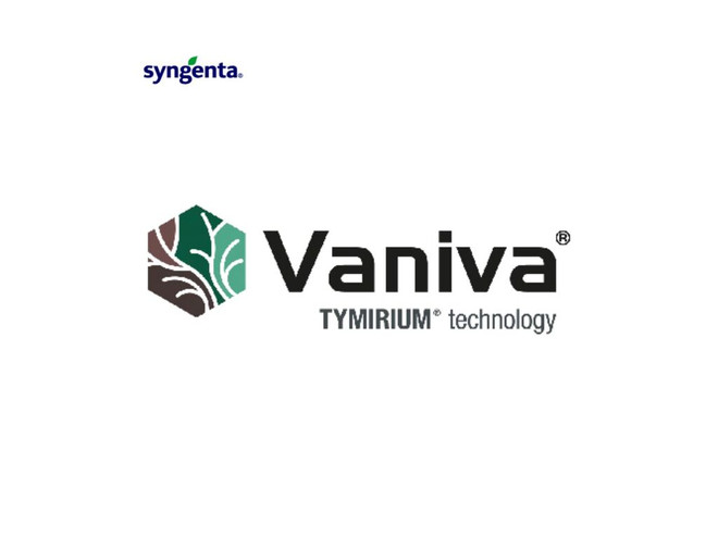Nematicida Fungicida Syngenta Vaniva 450 SC x 1 L