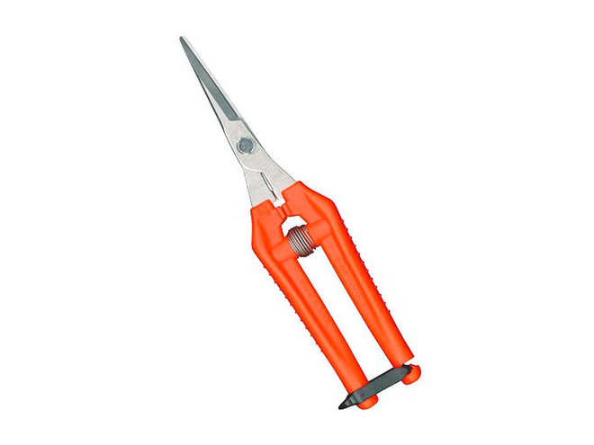 Tijera de raleo y cosecha Chikamasa T-55SC uso dual