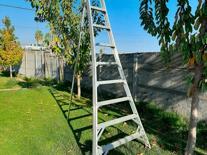 Escalera agrícola IMPOAGRO 9 peldaños - alto 3 m