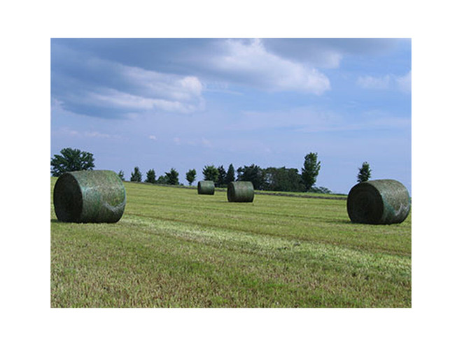 Malla para enfardar Netwtrap Spider net  1250 mm x 3000 m