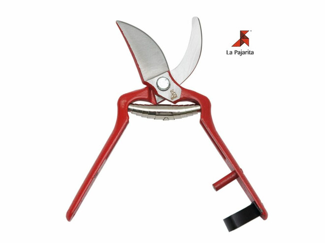 Tijera Pintada Blister La Pajarita 1025-26 Cm-B