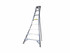 Escalera agrícola Star 2,4 m
