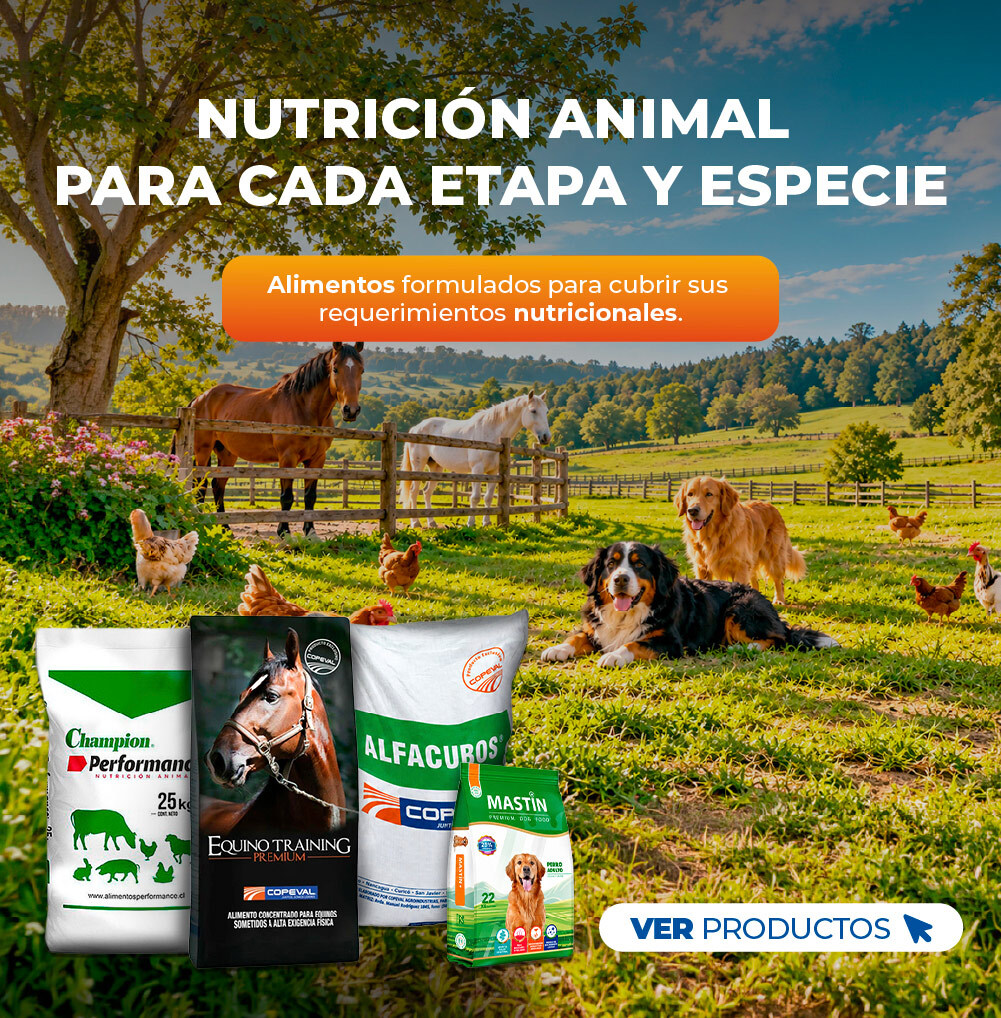 Nutrición animal