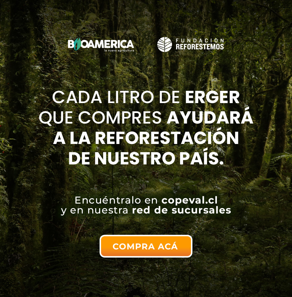 ERGER es un bioestimulante a base de extractos vegetales, promotor de la brotación