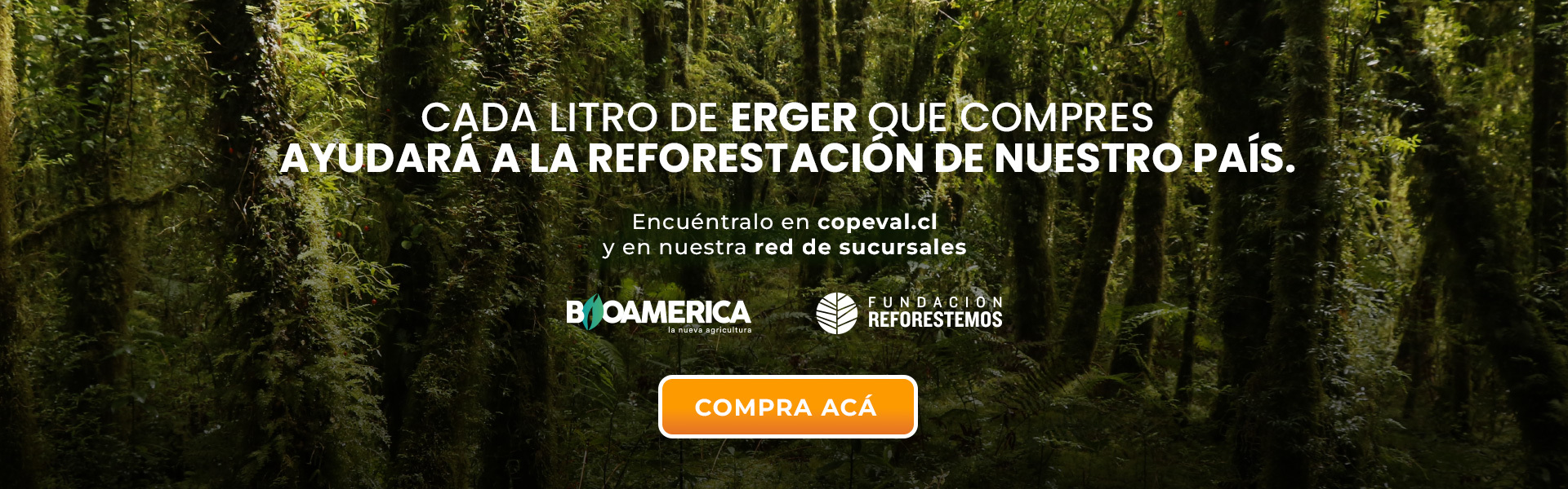 ERGER es un bioestimulante a base de extractos vegetales, promotor de la brotación