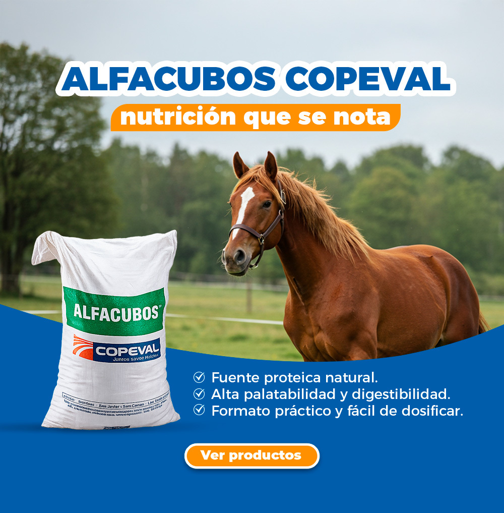 Alimento alfacubos 25 kg proteico para animales. Cubos de alfalfa.