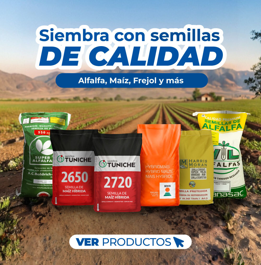 Siembra con semillas de calidad