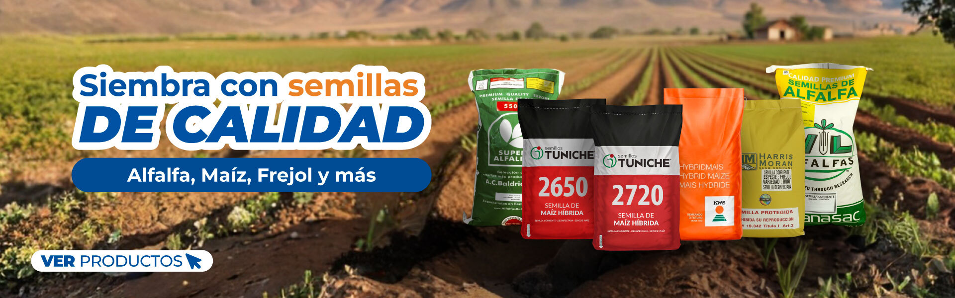 Siembra con semillas de calidad