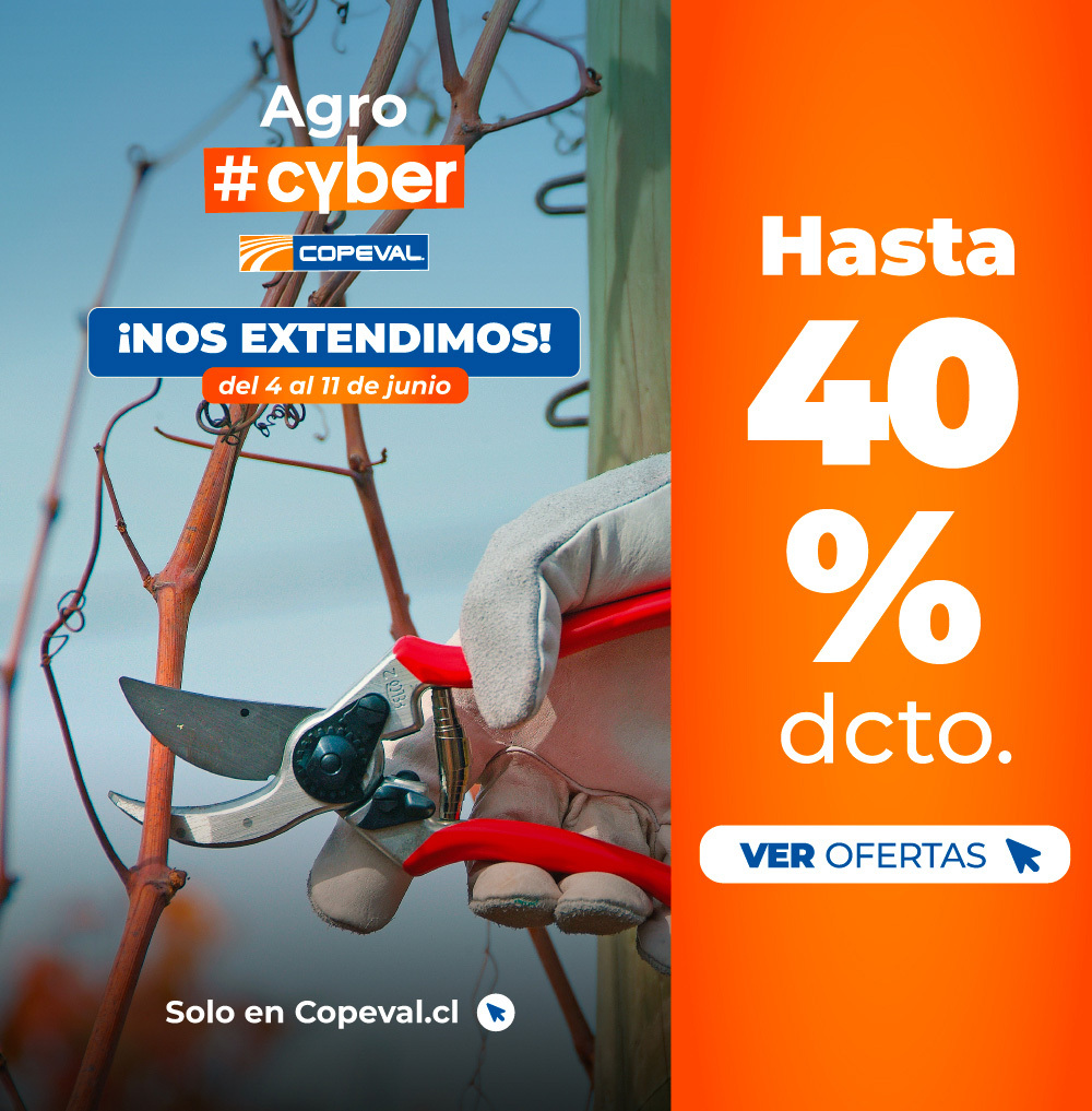 ¡Aprovecha! últimos días de ofertas