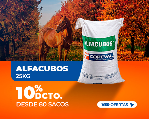 Alfacubos