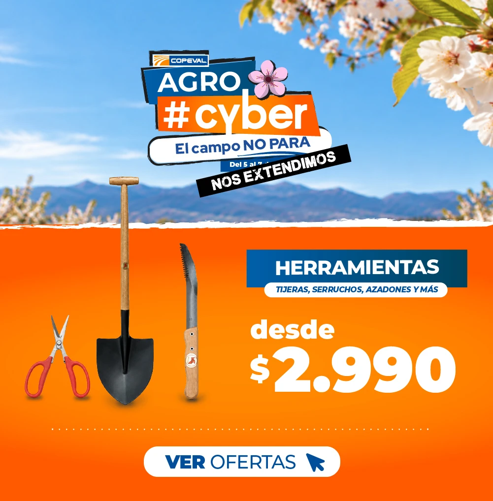 Herramientas desde $2.990