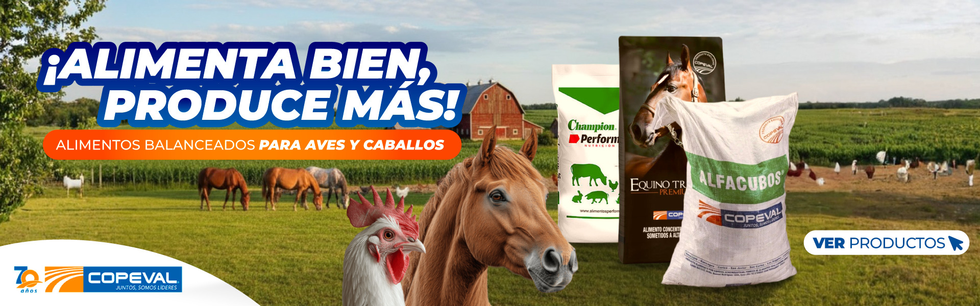 Alimentos para aves, caballos y mascotas