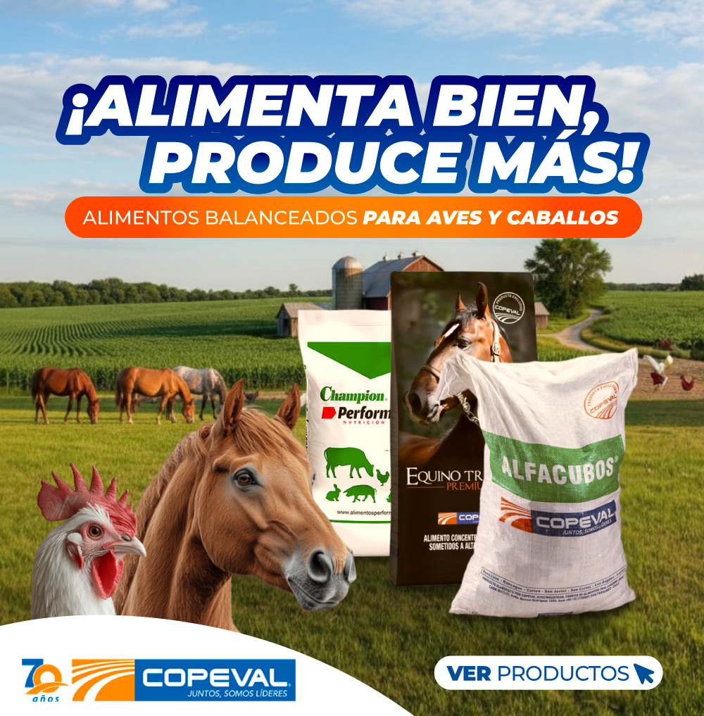 Alimentos para aves, caballos y mascotas
