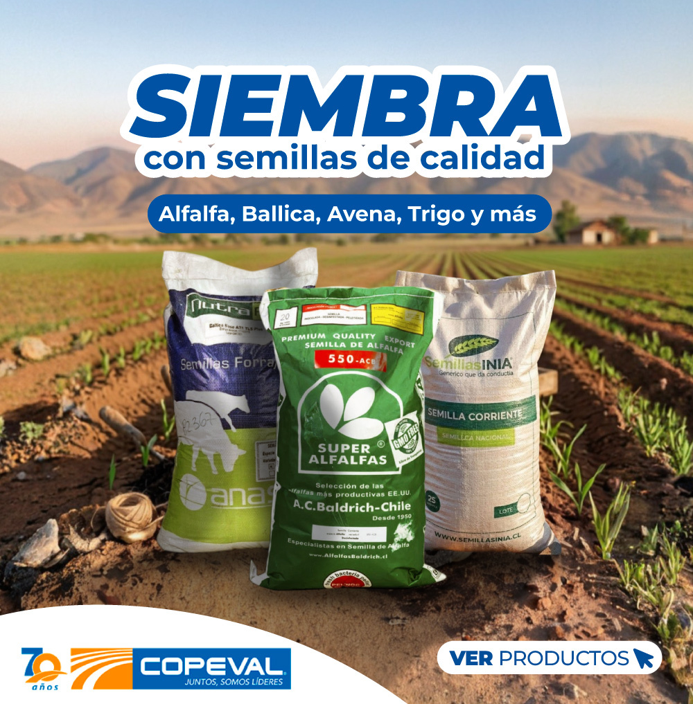 Todo en poda