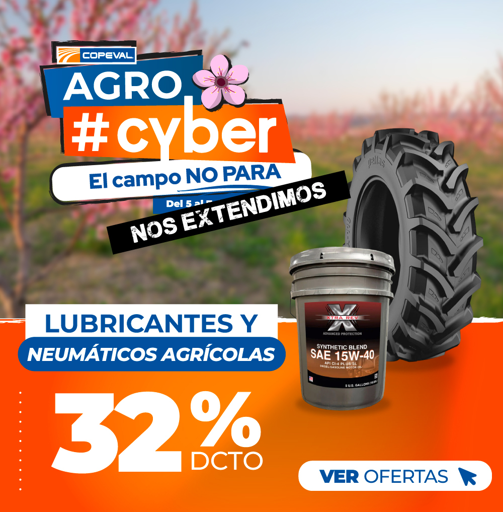 Neumáticos y lubricantes 32% dcto