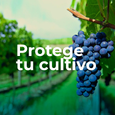 Protege tu cultivo