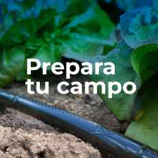 Prepara tu campo con todos los insumos necesarios