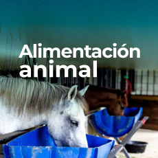 Nutrición animal