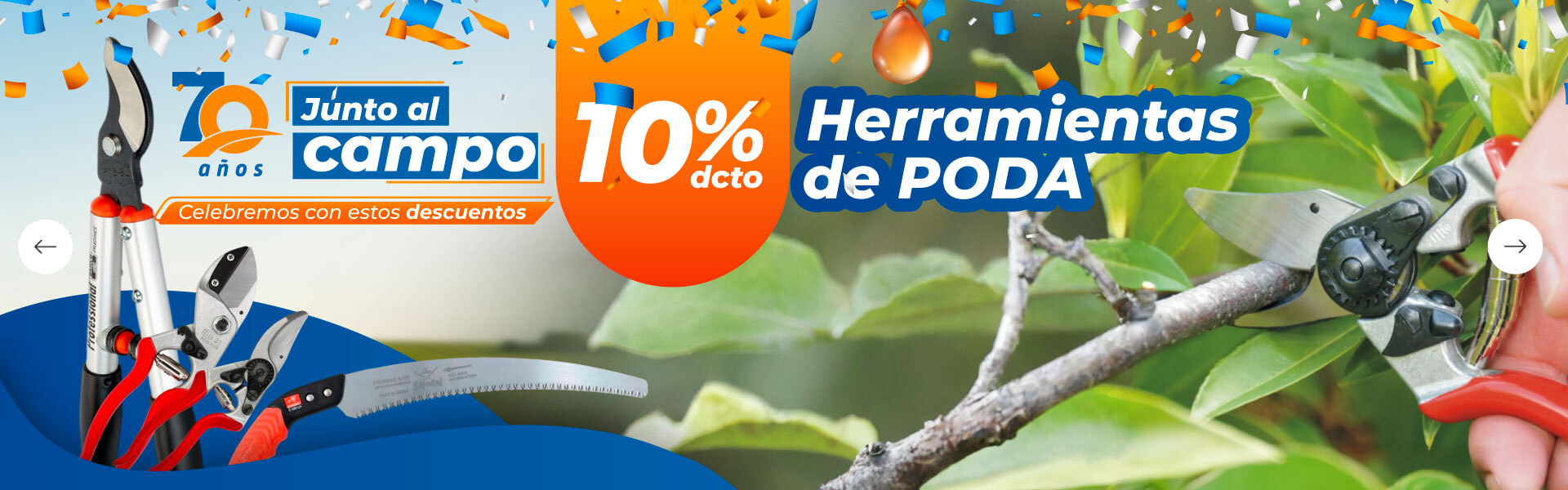 Ofertas de fin de temporada - 10% dcto