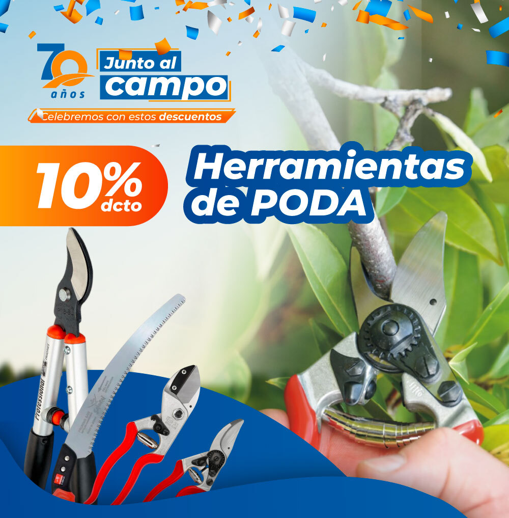 Ofertas de fin de temporada - 10% dcto