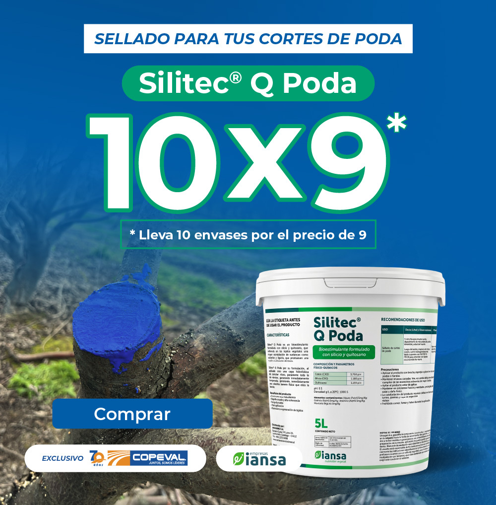 Silitec Q Poda - Lleva 10 paga 9
