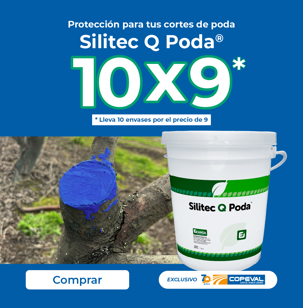 Silitec Q Poda