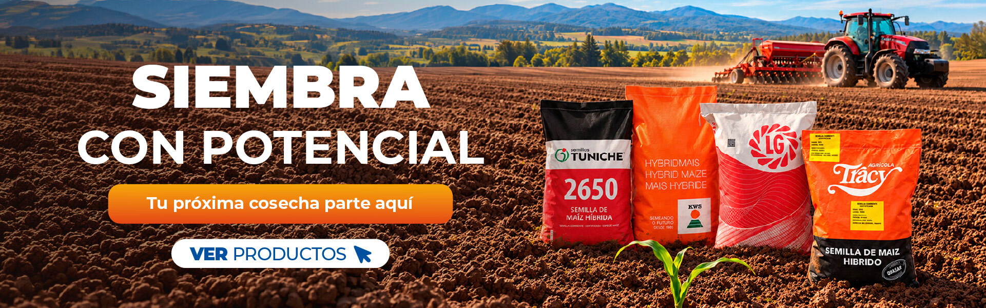 Semillas de maíz y alfalfa