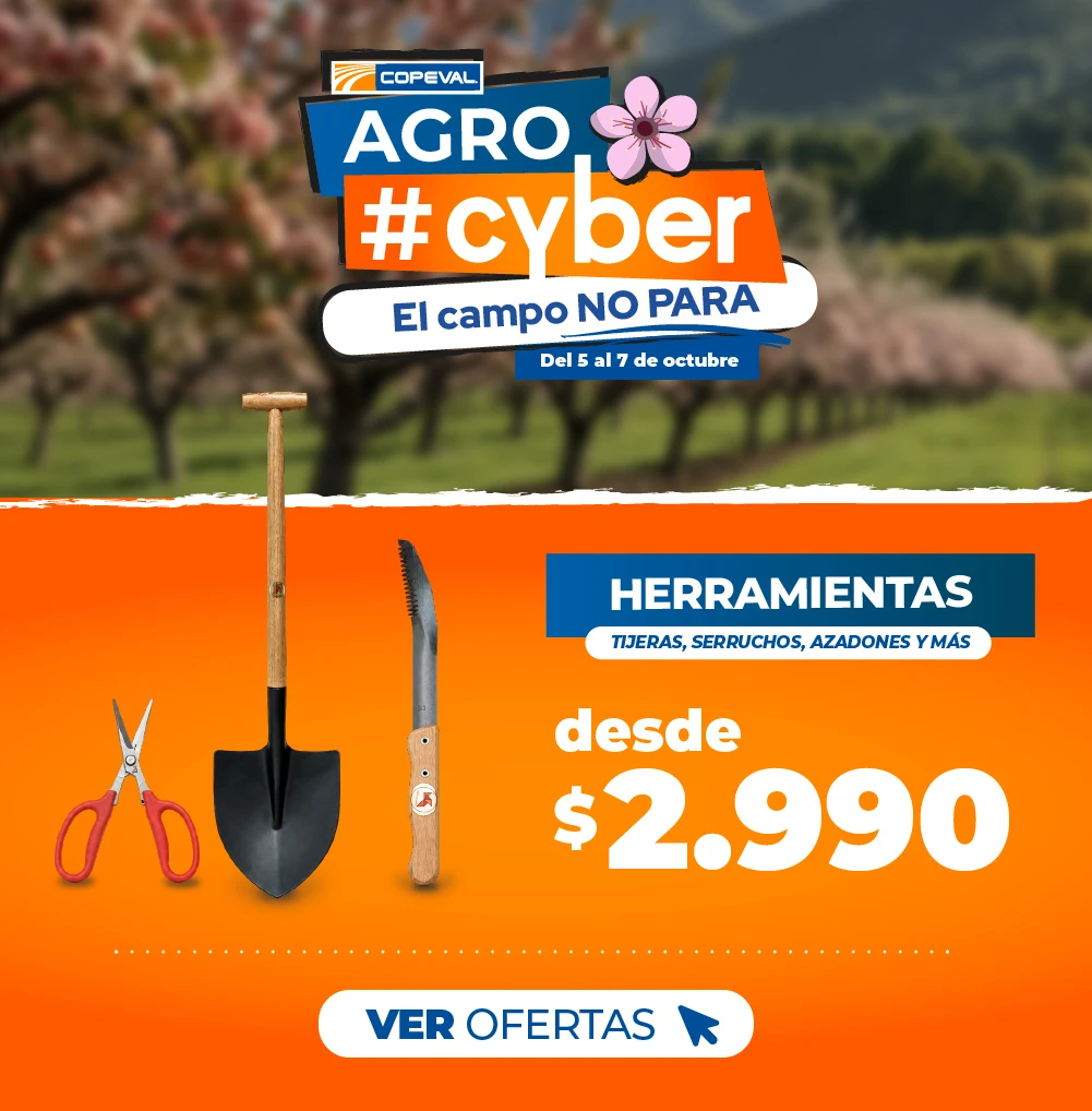 Herramientas desde $2.990